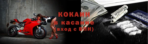 крисы Алексин