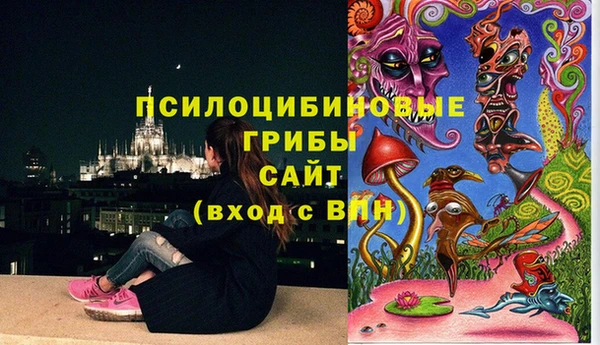 МДПВ Алзамай