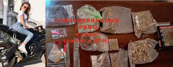 МДПВ Алзамай
