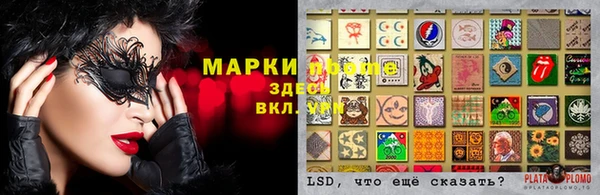 крисы Алексин