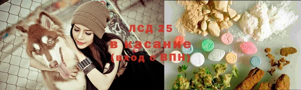 крисы Алексин
