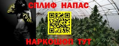 индика Кимры