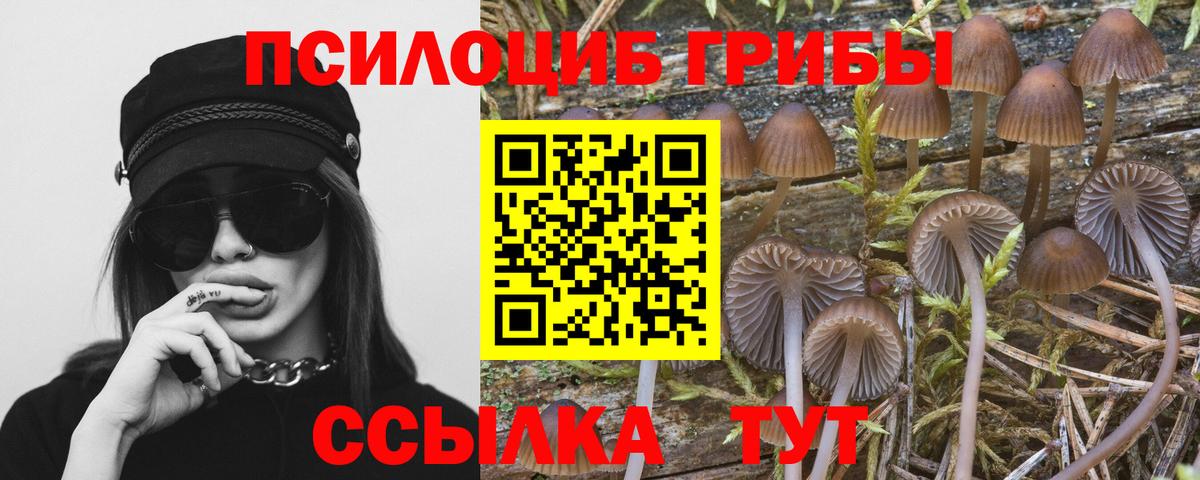 Псилоцибиновые грибы GOLDEN TEACHER Конаково