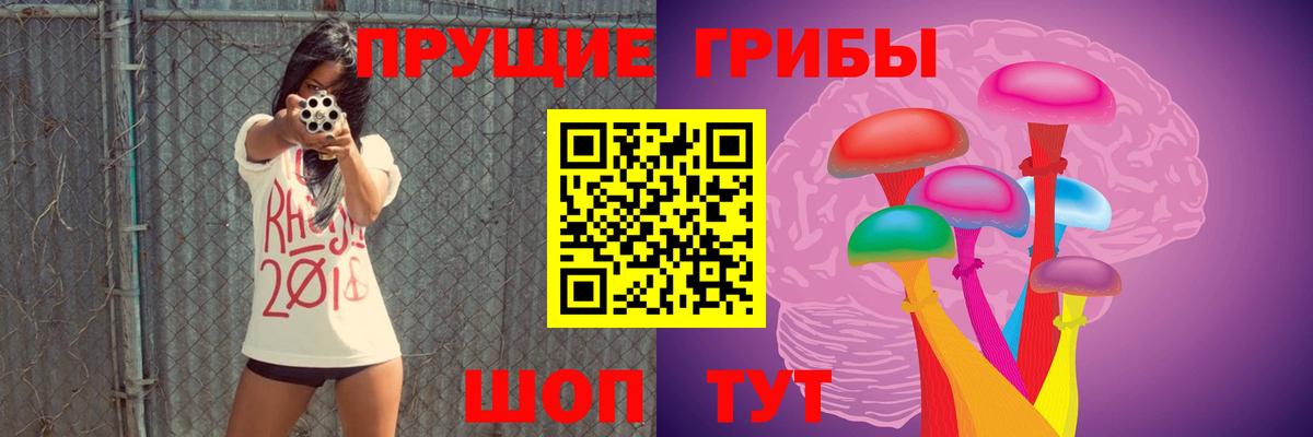 Конаково  Псилоцибиновые грибы Psilocybe  Галлюциногенные грибы Cubensis  сколько стоит  Вход с VPN 